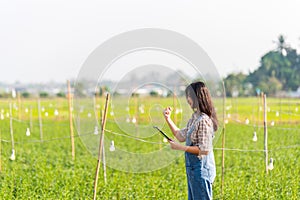 Happy successfull woman smart farmer holding tablet at her farm for modern farming, smart woman, technology, idea concept