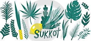 Happy Sukkot plants hand drawing set. Collection with etrog, lulav, Arava, Hadas. Isolated on white background. Vector