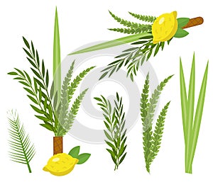 Happy Sukkot set. Collection of objects, design elements for Jewish Feast