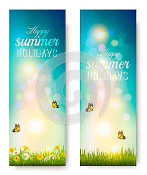 Happy summer holidays background with flowers, grass