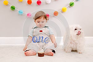 Happy surprised cute Caucasian baby boy celebrating his first birthday at home. Child kid sitting on floor with pet dog. Tasty