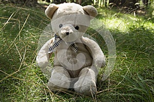 Happy teddy bear sitting in the grass