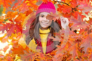 happy teen girl in hat with autumn colorful oak tree leaves, fall