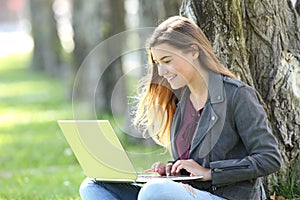 Happy teen writing on line in a laptop