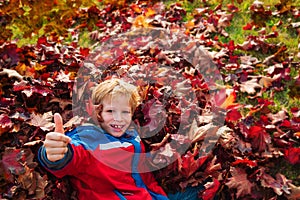 Happy teenage kid enjoy playing in autumn fall leaves