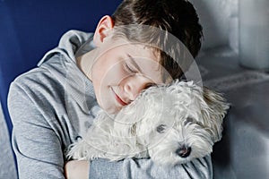 Happy teenager boy and cute maltese puppy together. Handsome child holding his dog at home, hugging. Pet love, family
