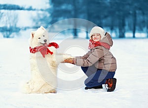 Happy teenager boy playing with white Samoyed dog outdoors in the park on a winter day, positive dog gives paw owner