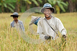 Happy thai farmer