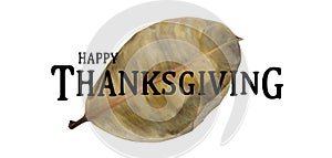 Happy Thankgiving quote with holiday elements