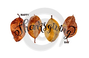 Happy Thankgiving quote with holiday elements