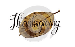 Happy Thankgiving quote with holiday elements