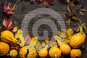 Happy Thanksgiving Background. Autumn Harvest and Holiday border. Selection of various pumpkins on dark wooden background.