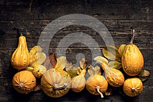 Happy Thanksgiving Background. Autumn Harvest and Holiday border. Selection of various pumpkins on dark wooden background.