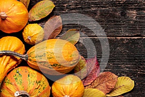 Happy Thanksgiving Background. Autumn Harvest and Holiday border. Selection of various pumpkins on dark wooden background.