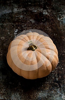 Happy Thanksgiving Background. Close up of a little decorative pumpkin, gourd, on rustic metal background. Autumn Harvest.