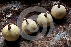 Happy Thanksgiving Background. Four white pumpkins on rustic metal background with copy space. Autumn Harvest.