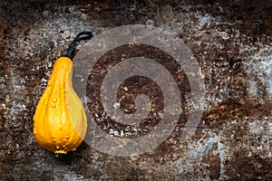 Happy Thanksgiving Background. Orange pumpkin on rustic metal background with copy space. Autumn Harvest.