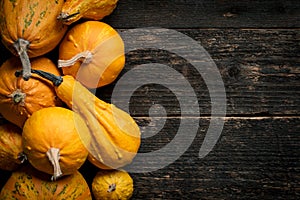 Happy Thanksgiving Background. Selection of various pumpkins on dark wooden background. Autumn vegetables and seasonal decorations
