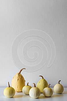 Happy Thanksgiving Background. Selection of various pumpkins on white shelf against white wall. Autumn inspired room decoration.