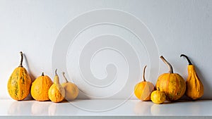 Happy Thanksgiving Background. Selection of various pumpkins on white shelf against white wall. Autumn inspired room decoration.