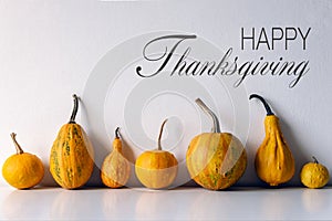 Happy Thanksgiving Background. Selection of various pumpkins on white shelf against white wall. Modern autumn inspired room decor.