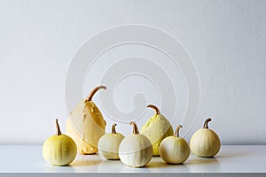 Happy Thanksgiving Background. Selection of various pumpkins on white shelf against white wall. Modern room decor.