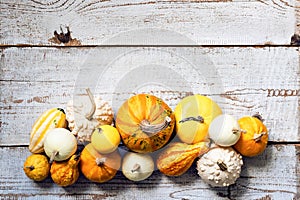 Happy Thanksgiving Background. Selection of various pumpkins on white wooden background. Autumn vegetables and seasonal decoration