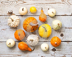 Happy Thanksgiving Background. Selection of various pumpkins on white wooden background. Autumn vegetables and seasonal decoration