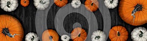 Happy Thanksgiving banner background panorama - Autumn Holiday Harvest still life, Set of various pumpkins on dark black wooden
