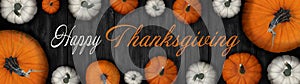 Happy Thanksgiving banner background panorama - Autumn Holiday Harvest still life, Set of various pumpkins on dark black wooden