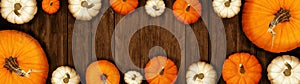 Happy Thanksgiving banner background panorama - Autumn Holiday Harvest still life, Set of various pumpkins on dark brown wooden