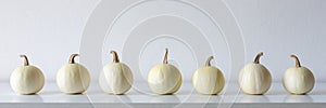 Happy Thanksgiving Banner. Selection of little white pumpkins on white shelf against white wall. Modern autumn inspired room decor