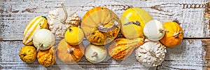 Happy Thanksgiving Banner. Selection of various pumpkins on old white wooden background. Autumn vegetables and seasonal decoration