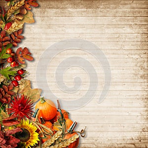 Happy Thanksgiving Card. Autumn Background