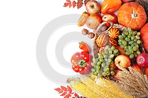 Happy Thanksgiving Day background, table decorated with Pumpkins, Maize, fruits and autumn leaves. Harvest festival. The