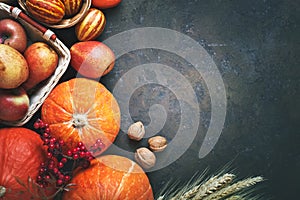 Happy Thanksgiving Day background, table decorated with Pumpkins, Maize, fruits and autumn leaves. Harvest festival. The