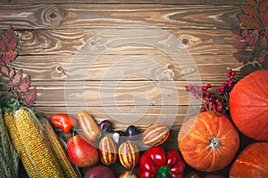 Happy Thanksgiving Day background, table decorated with Pumpkins, Maize, fruits and autumn leaves. Harvest festival. The