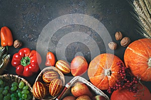 Happy Thanksgiving Day background, table decorated with Pumpkins, Maize, fruits and autumn leaves. Harvest festival. The