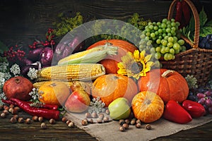 Happy Thanksgiving Day background, wooden table decorated with Pumpkins, Maize, fruits and autumn leaves.