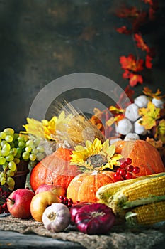 Happy Thanksgiving Day background, wooden table decorated with Pumpkins, Maize, fruits and autumn leaves. Harvest