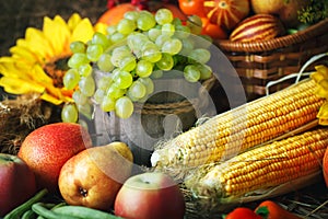 Happy Thanksgiving Day background, wooden table decorated with Pumpkins, Maize, fruits and autumn leaves. Harvest