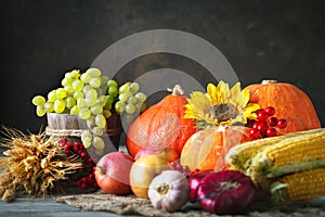 Happy Thanksgiving Day background, wooden table decorated with Pumpkins, Maize, fruits and autumn leaves. Harvest