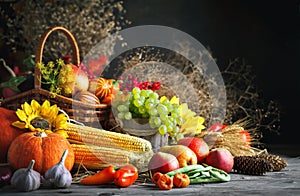 Happy Thanksgiving Day background, wooden table decorated with Pumpkins, Maize, fruits and autumn leaves. Harvest