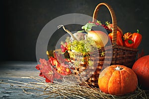 Happy Thanksgiving Day background, wooden table decorated with Pumpkins, Maize, fruits and autumn leaves. Harvest