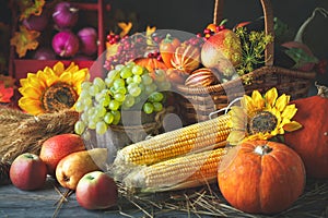 Happy Thanksgiving Day background, wooden table decorated with Pumpkins, Maize, fruits and autumn leaves. Harvest