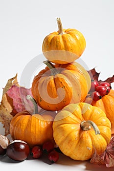 Happy Thanksgiving day. Beautiful composition with pumpkins on white background, closeup
