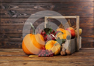 Happy Thanksgiving day. Composition with pumpkins, berries and walnuts on wooden table