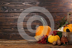 Happy Thanksgiving day. Composition with pumpkins, berries and walnuts on wooden table. Space for text