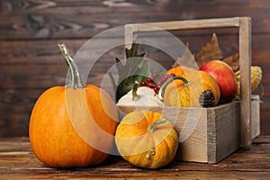 Happy Thanksgiving day. Composition with pumpkins and berries on wooden table