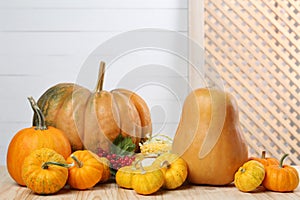 Happy Thanksgiving day. Composition with pumpkins and berries on wooden table